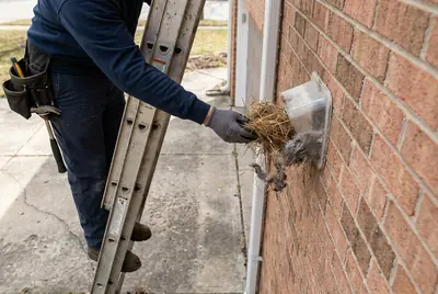 Nests and blockages